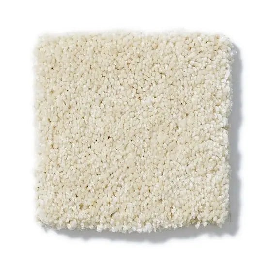Pet Perfect - Sasha - Carpet Anderson Tuftex