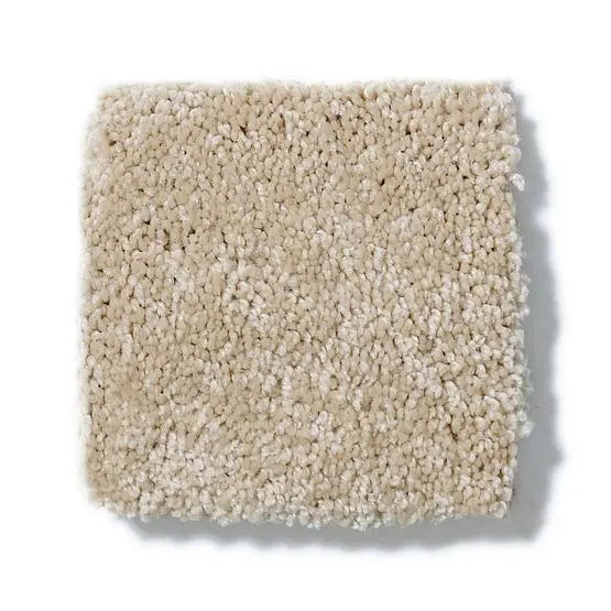 Pet Perfect - Sasha - Carpet Anderson Tuftex