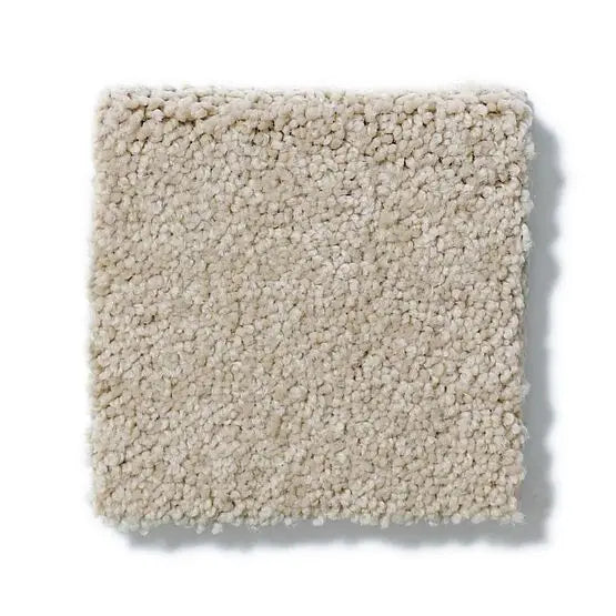 Pet Perfect - Sasha - Carpet Anderson Tuftex