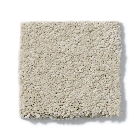 Pet Perfect - Sasha - Carpet Anderson Tuftex