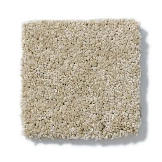 Pet Perfect - Sasha - Carpet Anderson Tuftex
