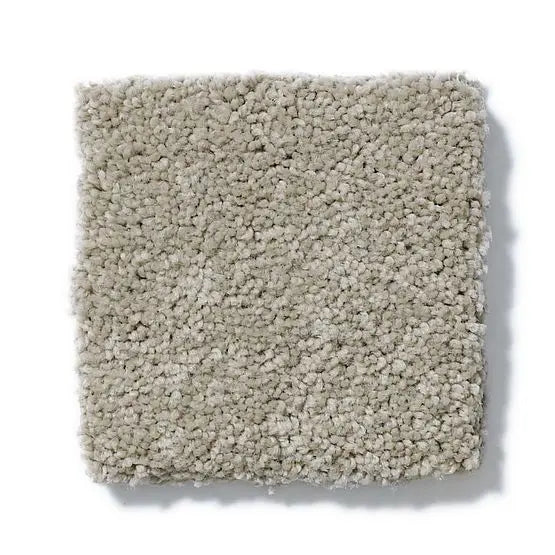 Pet Perfect - Sasha - Carpet Anderson Tuftex