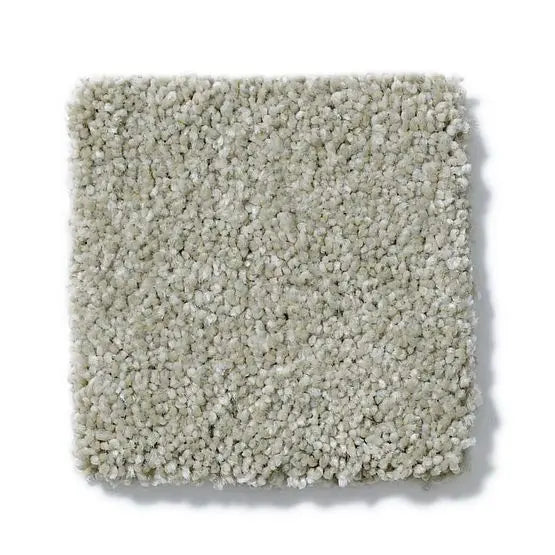 Pet Perfect - Sasha - Carpet Anderson Tuftex