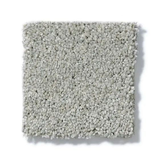 Pet Perfect - Sasha - Carpet Anderson Tuftex