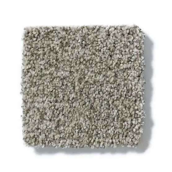 Pet Perfect - Sasha - Carpet Anderson Tuftex