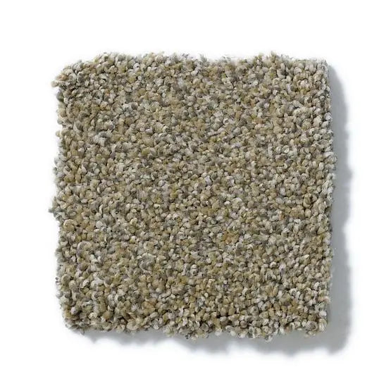 Pet Perfect - Sasha - Carpet Anderson Tuftex