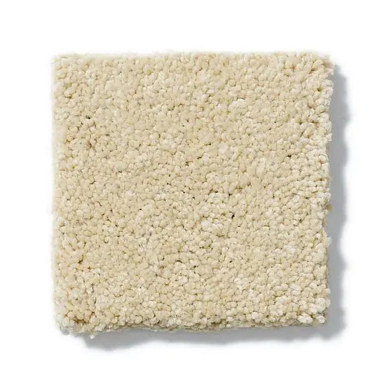 Pet Perfect - Sasha - Carpet Anderson Tuftex