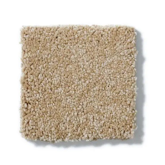 Pet Perfect - Sasha - Carpet Anderson Tuftex