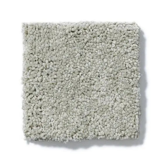 Pet Perfect - Sasha - Carpet Anderson Tuftex