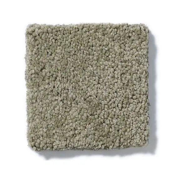 Pet Perfect - Sasha - Carpet Anderson Tuftex