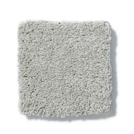 Pet Perfect - Sasha - Carpet Anderson Tuftex