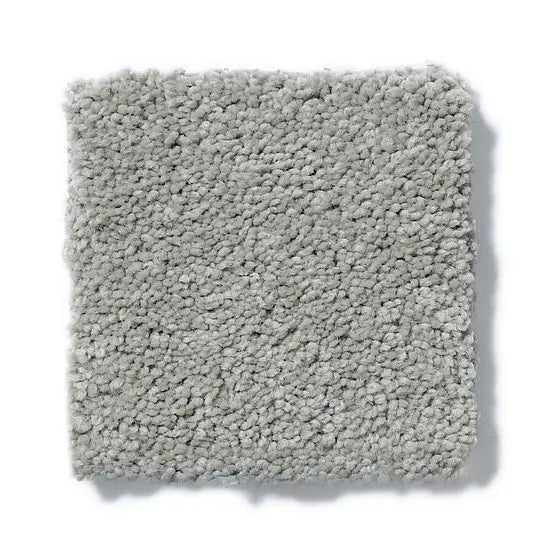 Pet Perfect - Sasha - Carpet Anderson Tuftex