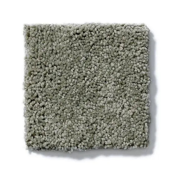 Pet Perfect - Sasha - Carpet Anderson Tuftex