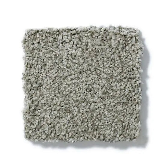 Pet Perfect - Sasha - Carpet Anderson Tuftex