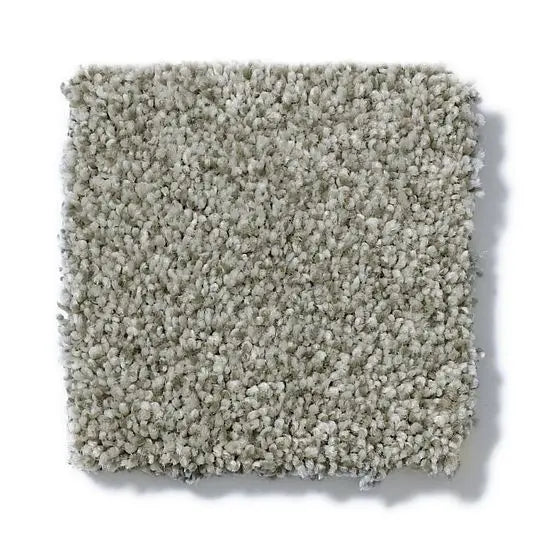 Pet Perfect - Sasha - Carpet Anderson Tuftex