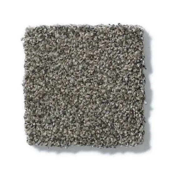 Pet Perfect - Sasha - Carpet Anderson Tuftex