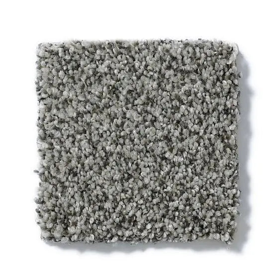 Pet Perfect - Sasha - Carpet Anderson Tuftex