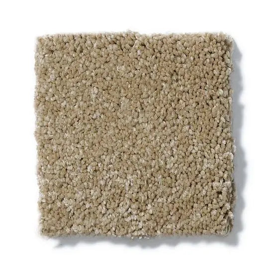 Pet Perfect - Sasha - Carpet Anderson Tuftex