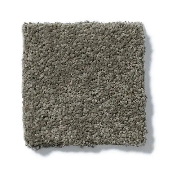 Pet Perfect - Sasha - Carpet Anderson Tuftex
