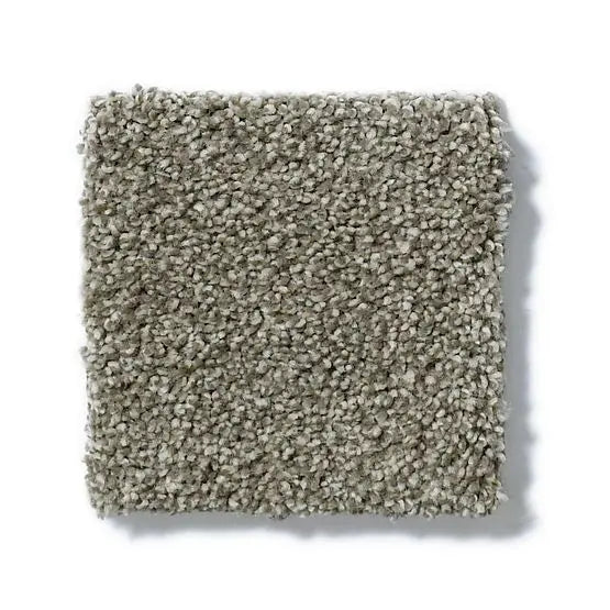 Pet Perfect - Sasha - Carpet Anderson Tuftex