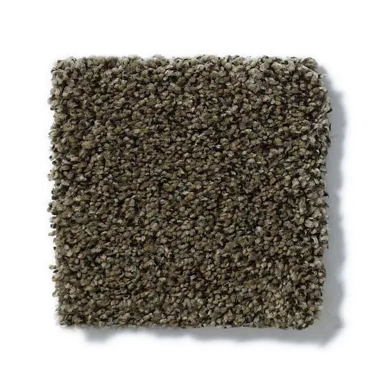 Pet Perfect - Sasha - Carpet Anderson Tuftex