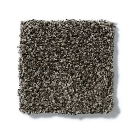 Pet Perfect - Sasha - Carpet Anderson Tuftex