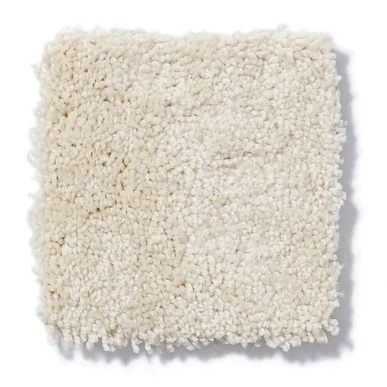 Pet Perfect - Gus - Carpet Anderson Tuftex