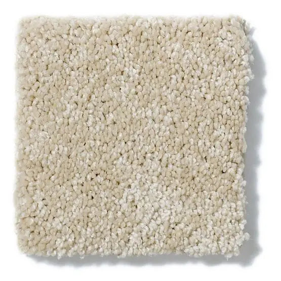 Pet Perfect - Gus - Carpet Anderson Tuftex