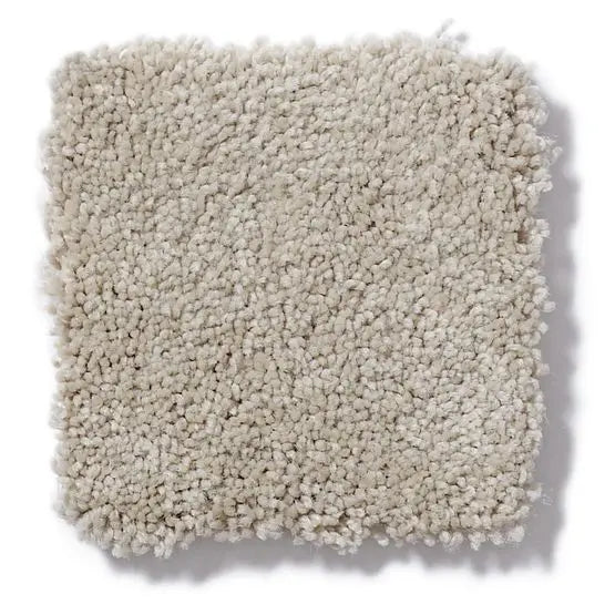 Pet Perfect - Gus - Carpet Anderson Tuftex