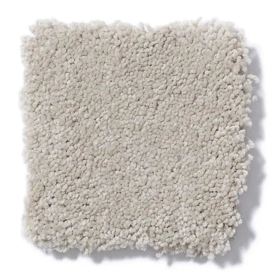 Pet Perfect - Gus - Carpet Anderson Tuftex