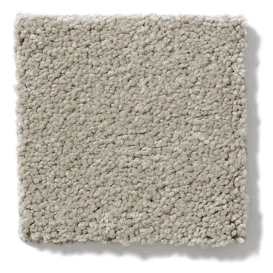 Pet Perfect - Gus - Carpet Anderson Tuftex