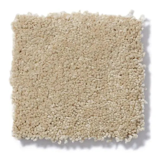 Pet Perfect - Gus - Carpet Anderson Tuftex