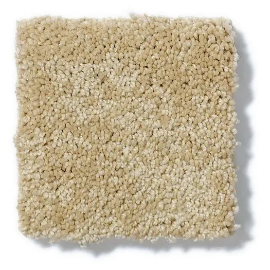 Pet Perfect - Gus - Carpet Anderson Tuftex