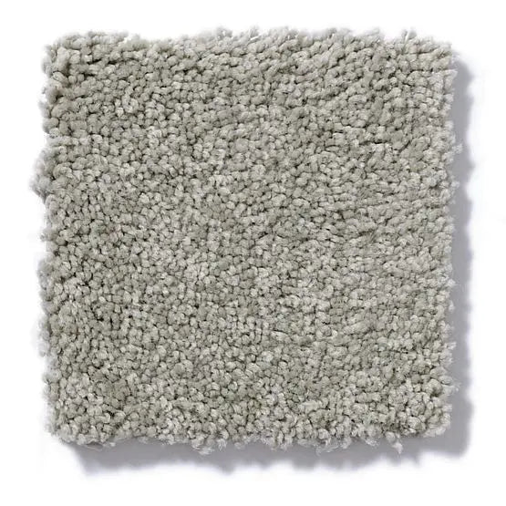 Pet Perfect - Gus - Carpet Anderson Tuftex