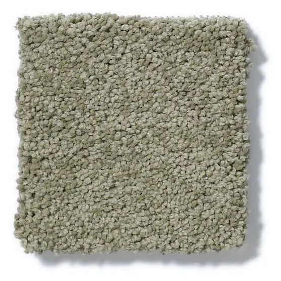 Pet Perfect - Gus - Carpet Anderson Tuftex