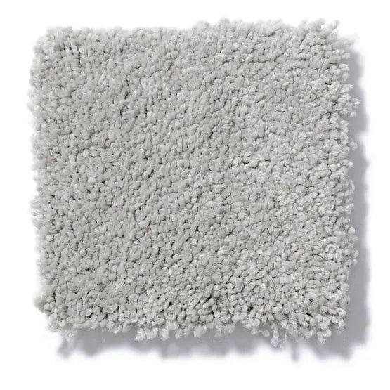 Pet Perfect - Gus - Carpet Anderson Tuftex