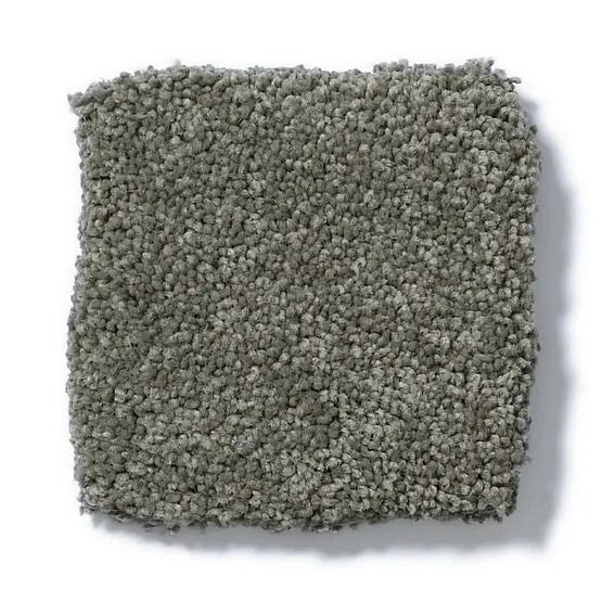 Pet Perfect - Gus - Carpet Anderson Tuftex