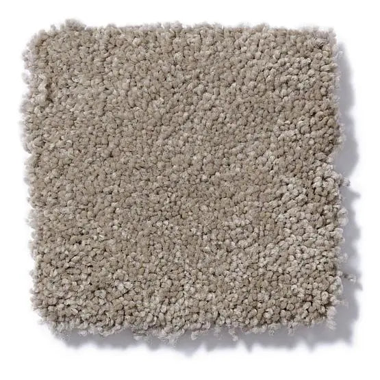 Pet Perfect - Gus - Carpet Anderson Tuftex