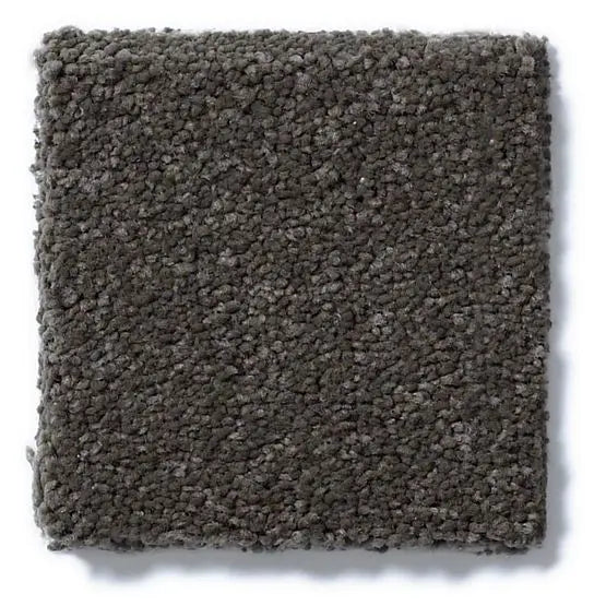 Pet Perfect - Gus - Carpet Anderson Tuftex