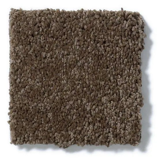 Pet Perfect - Gus - Carpet Anderson Tuftex