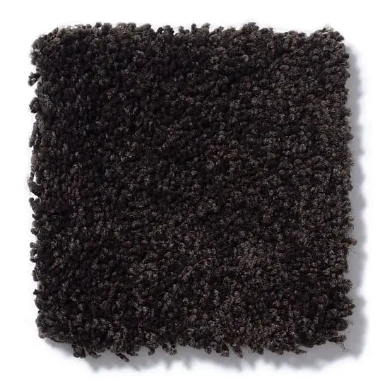 Pet Perfect - Gus - Carpet Anderson Tuftex