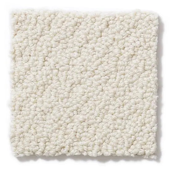 Pet Perfect - On Point - Carpet Anderson Tuftex