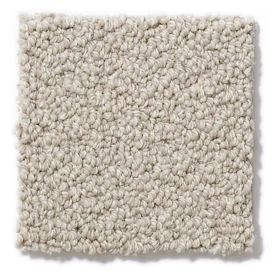 Pet Perfect - On Point - Carpet Anderson Tuftex