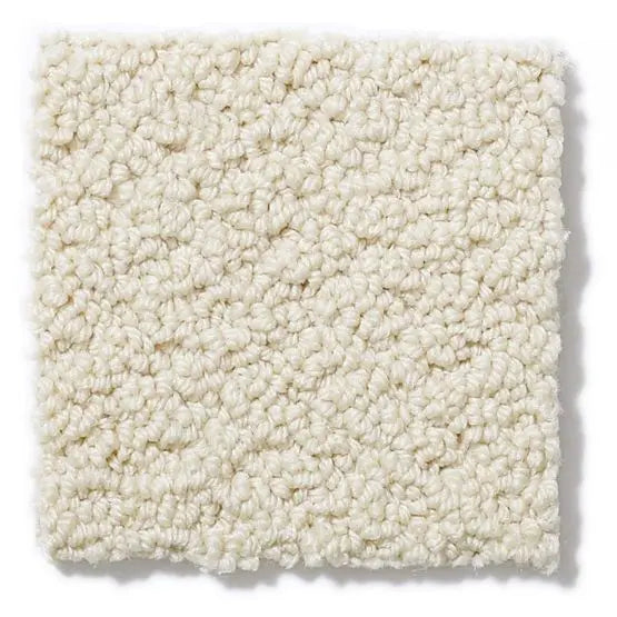 Pet Perfect - On Point - Carpet Anderson Tuftex