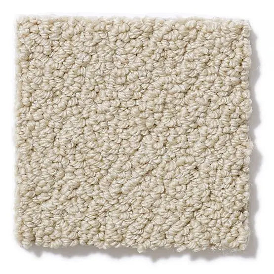 Pet Perfect - On Point - Carpet Anderson Tuftex