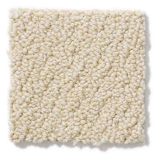 Pet Perfect - On Point - Carpet Anderson Tuftex