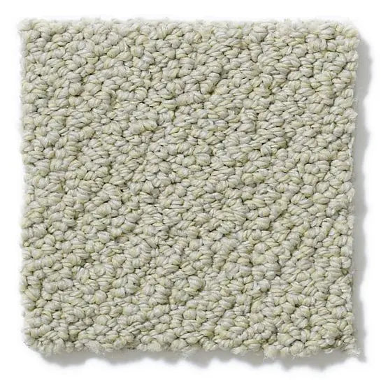 Pet Perfect - On Point - Carpet Anderson Tuftex