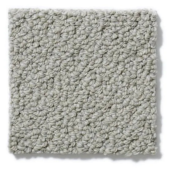 Pet Perfect - On Point - Carpet Anderson Tuftex