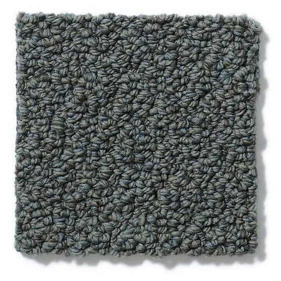 Pet Perfect - On Point - Carpet Anderson Tuftex