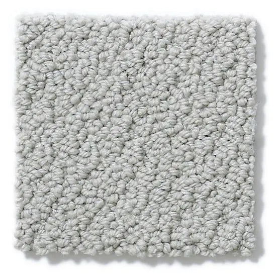 Pet Perfect - On Point - Carpet Anderson Tuftex